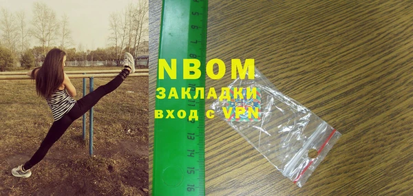 шишки Дмитров