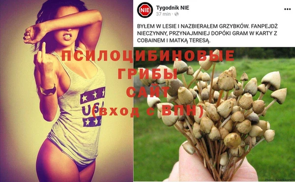соль курить ск Дмитровск