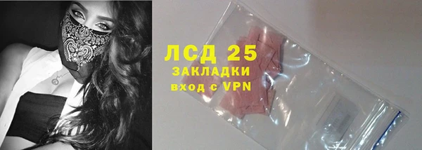 шишки Дмитров