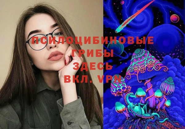 соль курить ск Дмитровск