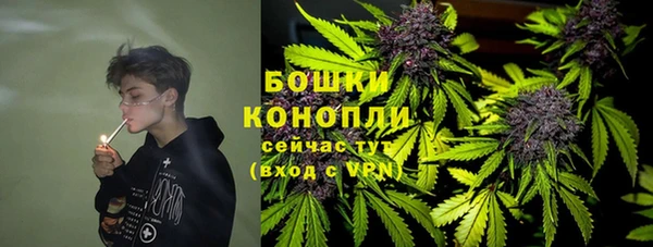 шишки Дмитров
