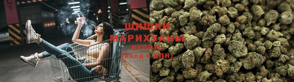 гашишное масло Дмитриев