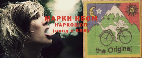 шишки Дмитров